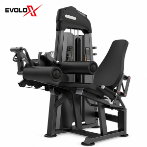 IK21 Leg Extension/Leg Curl